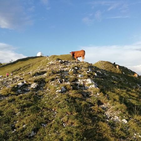Cahute De Montagne Pour Profiter Du Haut Jura เพรมานง ภายนอก รูปภาพ