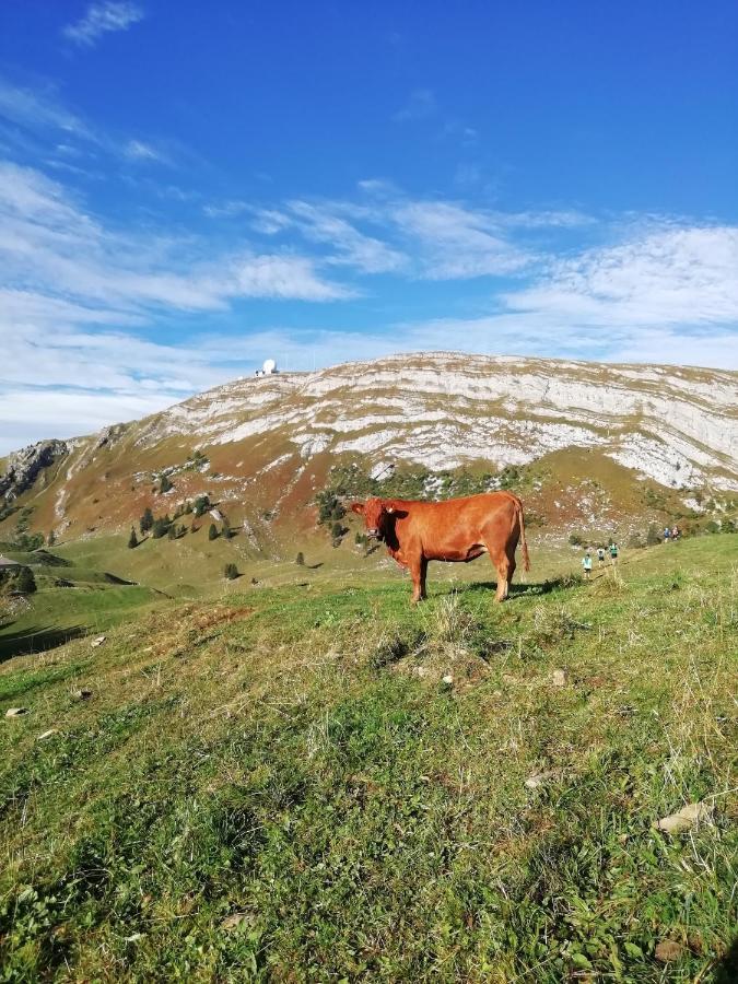 Cahute De Montagne Pour Profiter Du Haut Jura เพรมานง ภายนอก รูปภาพ