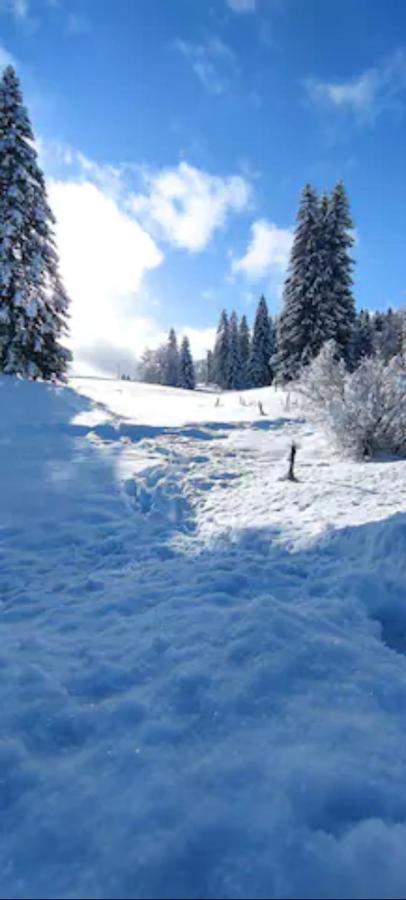 Cahute De Montagne Pour Profiter Du Haut Jura เพรมานง ภายนอก รูปภาพ