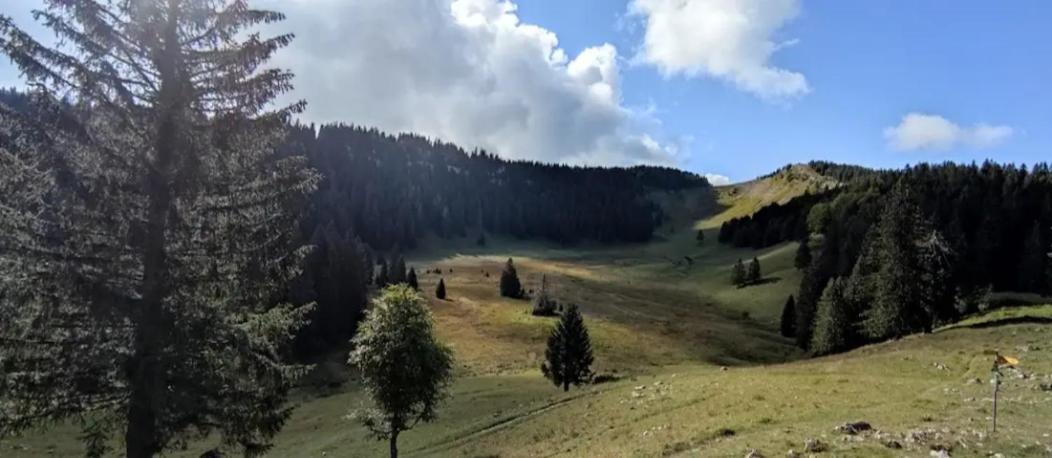 Cahute De Montagne Pour Profiter Du Haut Jura เพรมานง ภายนอก รูปภาพ